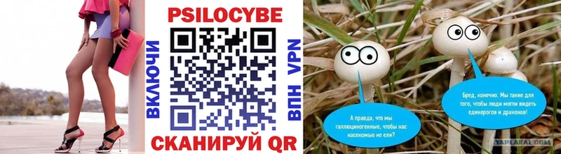 Галлюциногенные грибы мицелий  купить наркотик  Лесной 