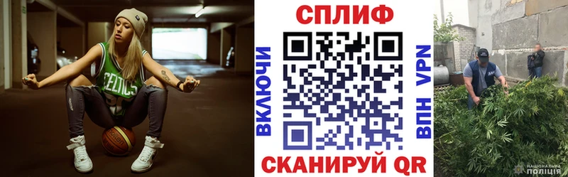 Марихуана планчик  Лесной 